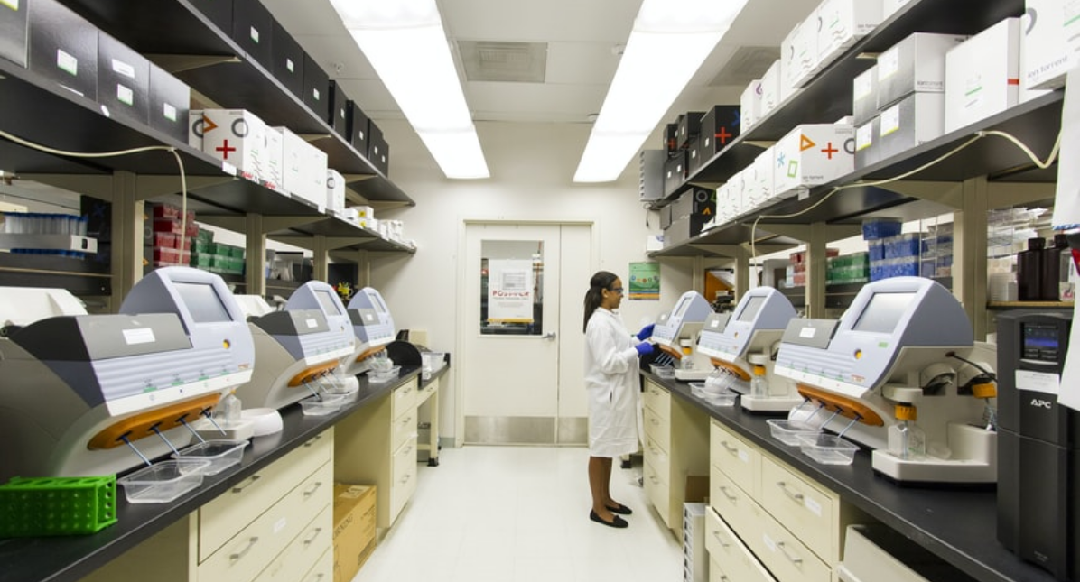 lab