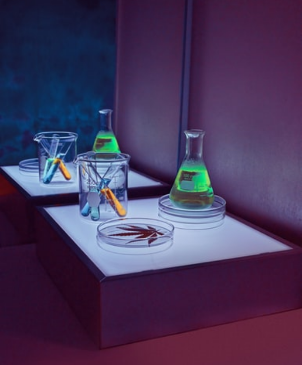 lab